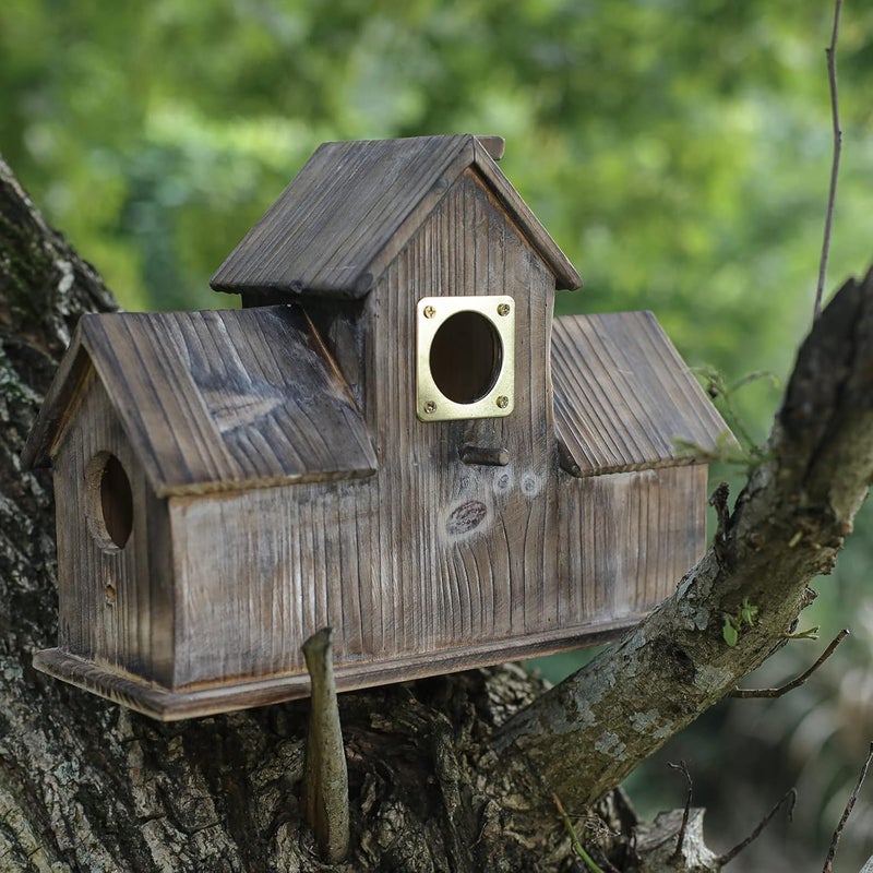 Cloud Fragrant 6-Piece Metal Bluebird House Predator Guard，Metal Birdhouse Guard，Bird House Hole Protector Guard for Eastern Bluebird Box （3.81 cm Opening） - Image 2